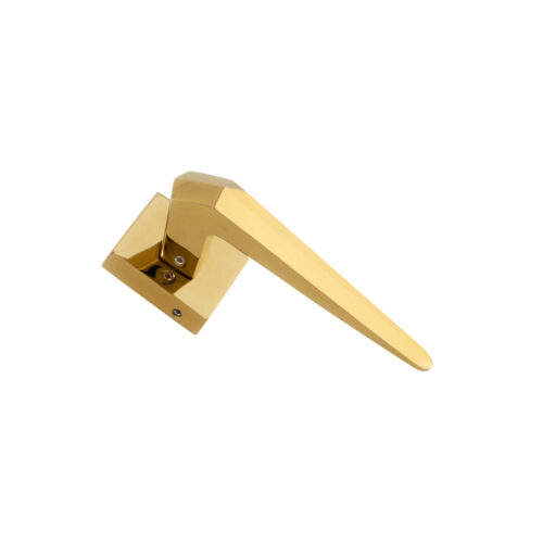 BRASS MORTISE HANDLE FB-JUPITER PVD GOLD